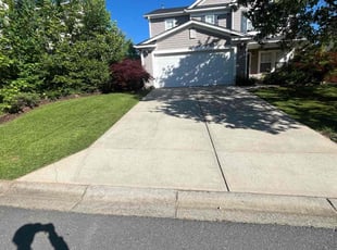 Alva W.'s turf maintenance service result