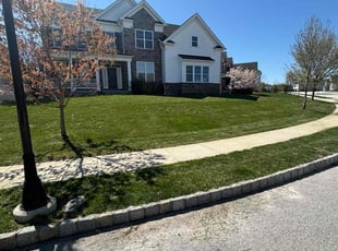 Jean A.'s lawn service service result