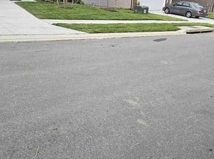 Thomas D.'s lawn care service result