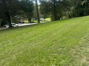 Deanna N.'s lawn care services service result
