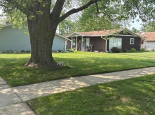 Craig B.'s lawn service service result
