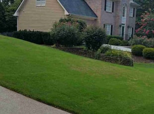 Tracy L.'s grass cutting service result