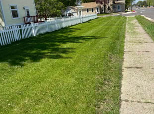 Val C.'s lawn care service result