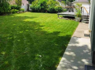Helen W.'s lawn service service result