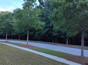 Monica S.'s Long Grass Cleanup service result
