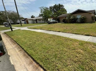 Gena A.'s grass cutting service result
