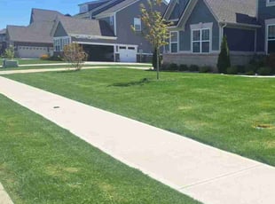 Oladapo A.'s lawn care services service result