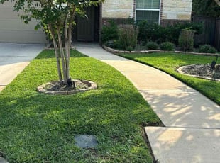 Ryan F.'s grass maintenance service result