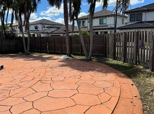 Riaunna H.'s turf care service result