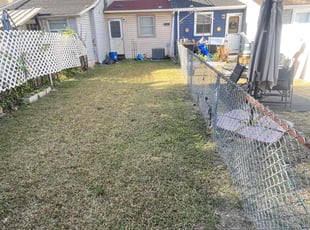 Vincent W.'s turf care service result