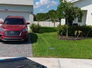 Tasha C.'s grass maintenance service result