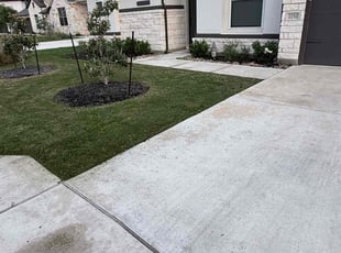 Jean T.'s lawn maintenance service result