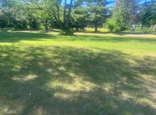 Michael V.'s lawn maintenance service result