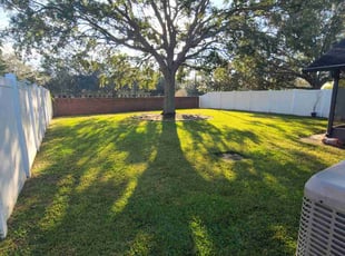 Dustun M.'s lawn maintenance service result