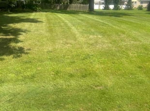 Charles W.'s grass cutting service result