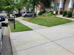 Liudmyla K.'s lawn maintenance service result