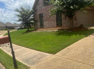 Hailey D.'s lawn service service result