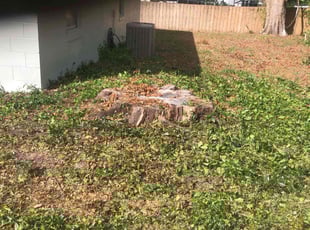 Sean O.'s Bush Trimming service result