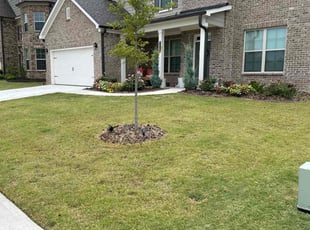 Emily B.'s grass cutting service result