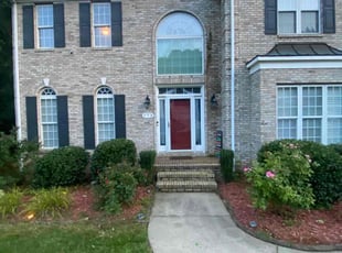 John P.'s Bush Trimming service result
