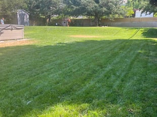 Mark S.'s lawn care service result