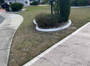 David B.'s turf maintenance service result