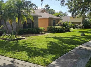 Missy B.'s turf maintenance service result