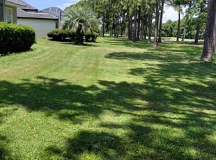 Graham L.'s turf care service result