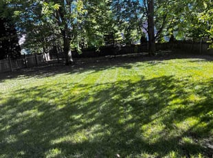 Joe B.'s lawn care services service result
