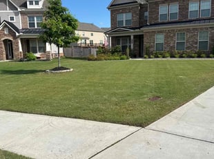 Isaiah B.'s lawn maintenance service result