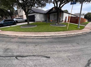 William C.'s turf care service result
