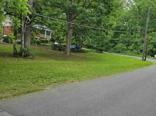 Jean H.'s lawn service service result