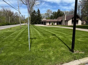 Lupe S.'s lawn care service result