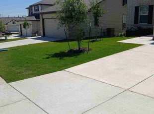 Lateasha W.'s turf maintenance service result