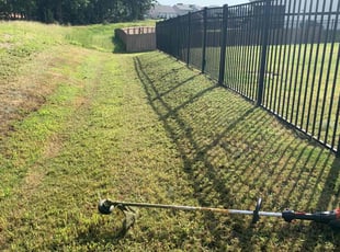 Billy J.'s lawn care service result