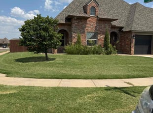 Sandra T.'s lawn care service result