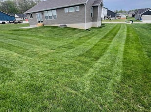 Robert C.'s lawn care service result