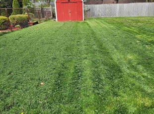 Pete M.'s turf maintenance service result