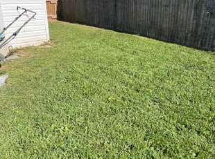 Eric U.'s lawn service service result