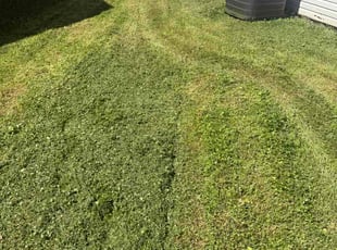 Juan G.'s lawn care services service result