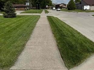 Todd H.'s grass maintenance service result