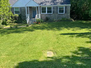 Wesley K.'s lawn care service result