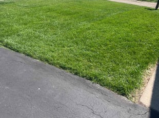 Donna M.'s turf care service result