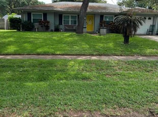 Peter G.'s grass maintenance service result