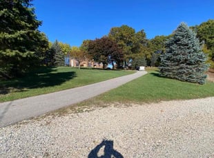 Skip P.'s grass cutting service result