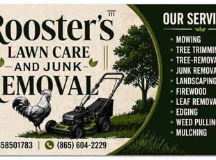 Joseph B.'s grass cutting service result