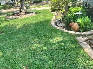 Jonathan R.'s lawn maintenance service result