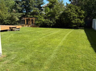 Dustin S.'s turf maintenance service result