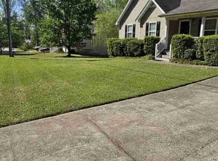 Awnee S.'s yard service service result