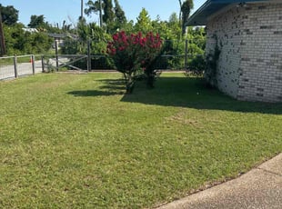 Adam C.'s turf care service result